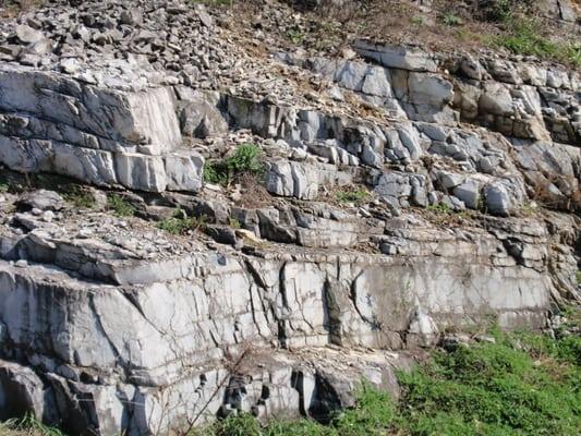Cambrian Age Ledger Formation - great example of a siliceous (silica rich) dolomite - great exposure at Rte. 23 & 30 interchange