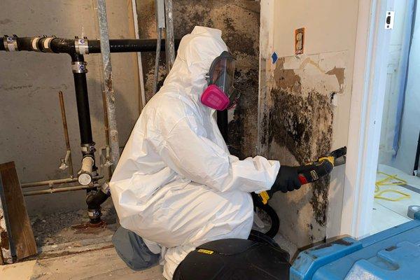 Premier Restoration Hawaii