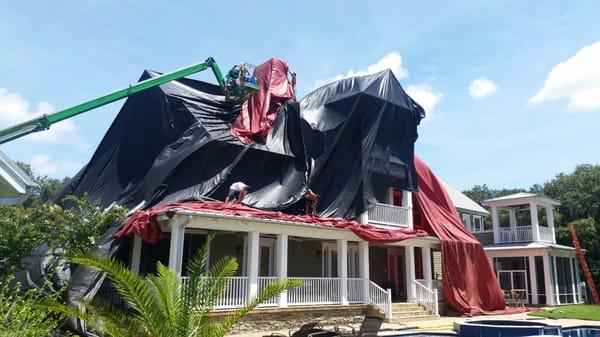 Accurate Pest Management