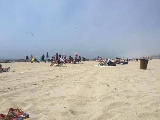 Dayton Beach Park Co-Op