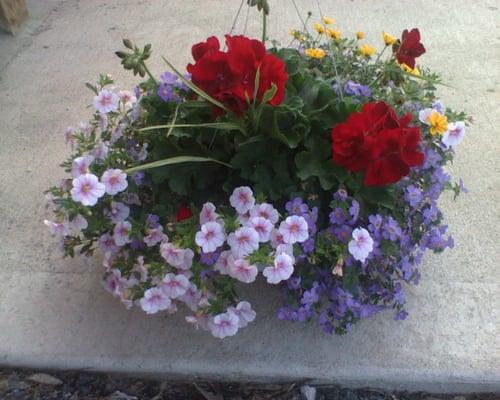 Hoover's Bulk Food Store