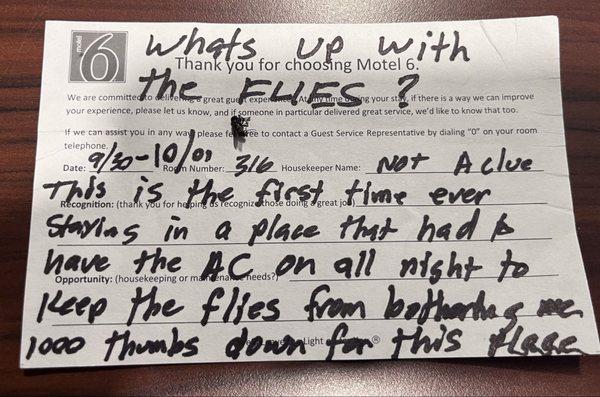 This is my review I left with one of my dead flies on the card.
