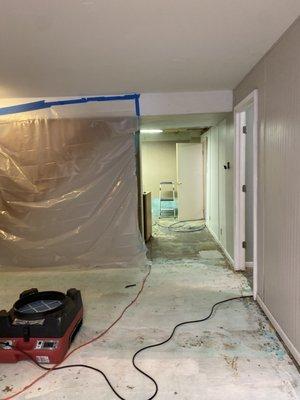 Just another mold remediation job!