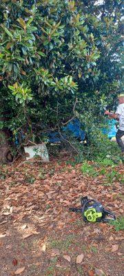 Prines Pressure Washing