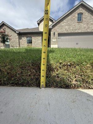 American Legend Homes