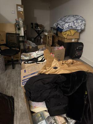 Well Organized Professional organizer