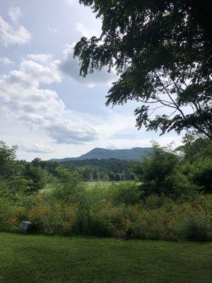 Harmon Field Maintenance