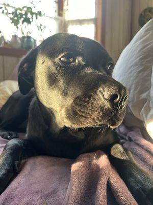 No More Chasin' Tails