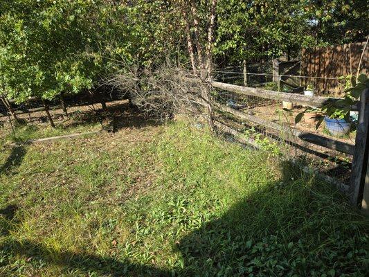 J.W Saravia Landscaping and Concrete Services