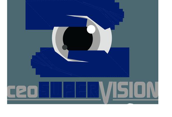 Marketing, Project Management, and Business Consulting