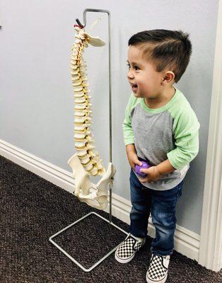 Cowell Chiropractic