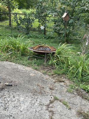 Top Quality Landscaping & Trees