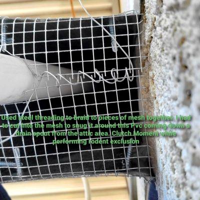 Aloha Commercial Pest Services