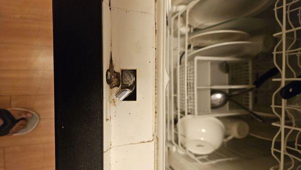 Nasty dishes in dishwasher at arrivl