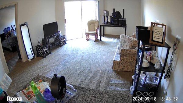 It s still wet but when it dry is like to have a new carpet