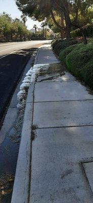 Southern Nevada Water Authority