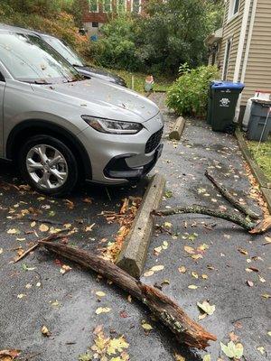 Auto Craft Body & Collision