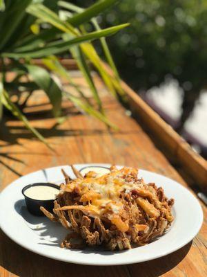 Sabal Palm Beach Bar & Grill