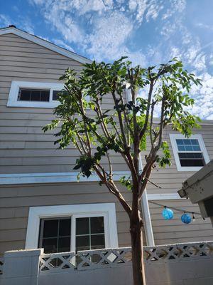 SG Gardening Landscape and Tree Services