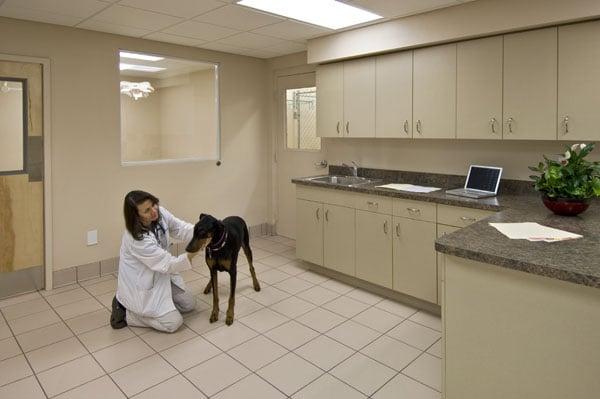 Campbell Consulting & Contracting Inc