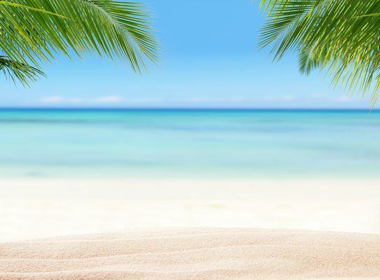 Palm Beach Joint Replacement