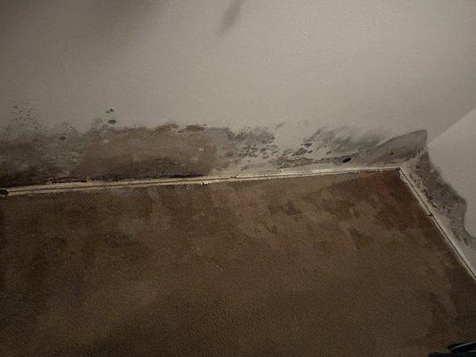 Northwest Corners Apartments