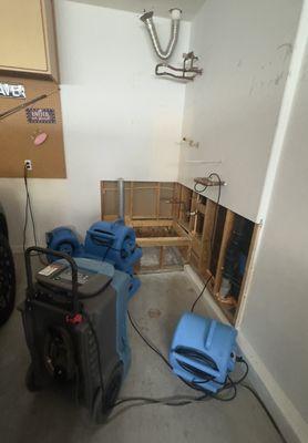 Pristine Restoration