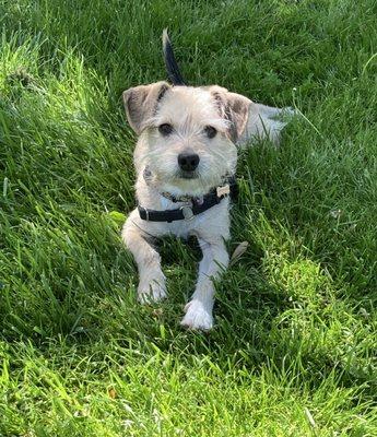 Boyd Taylor Veterinary Practice