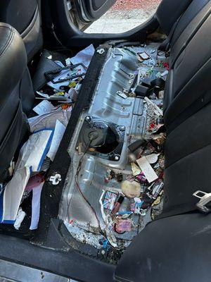 Polanco Auto Detailing