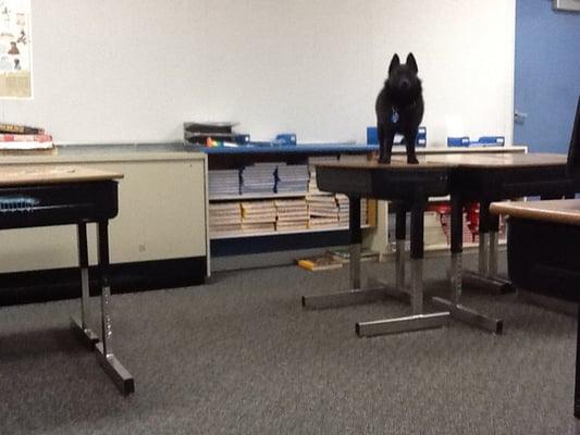 Westlake Elementary School