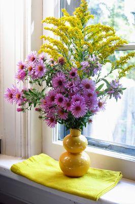 Syreni Sylva Sanctuary