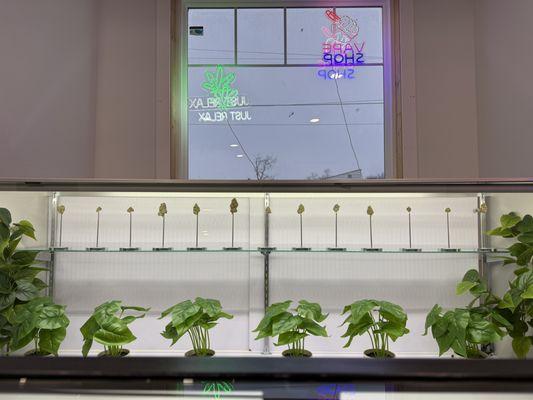 Display Case inside Cloud Forest Dispensary