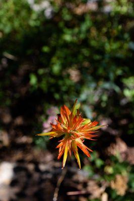 Shirley Lake Trailhead