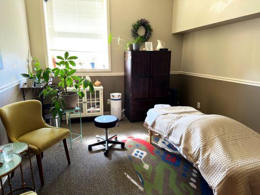 Shannon Dye Massage Therapy