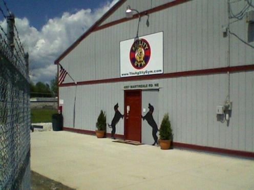 The Agility Gym Theagilitygym@live.com