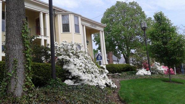 Front of the CFPL on Market St.