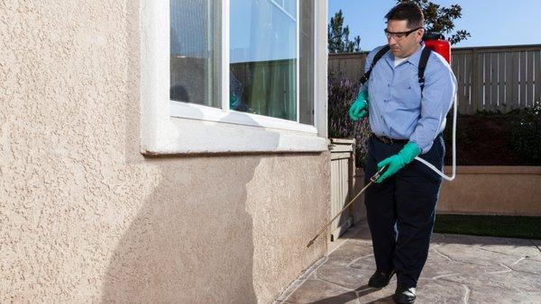 Pest Control Passaic