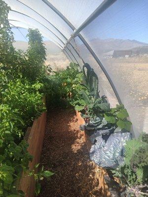 Gardening at the greenhouse