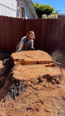 Fast Response Tree Service