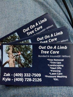 Out On A Limb Tree Care