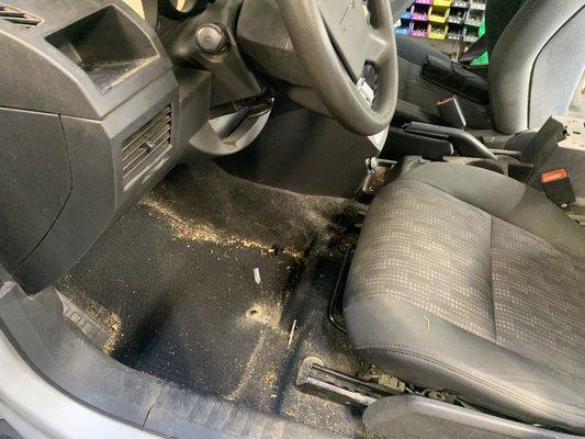 Car Care Spa Auto Detailing