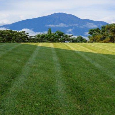 G&M Lawn Care Service