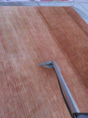 Certified Carpet Cleaning Deodorizing Pet Odors