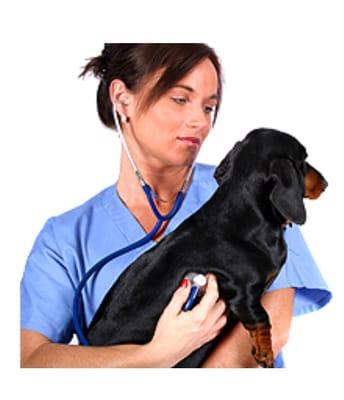 Mobile Animal Surgical Hospital