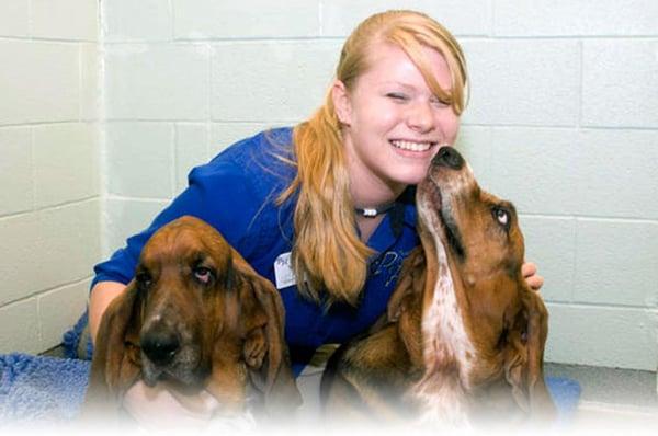 Bradford Hills Pet Hotel & Grooming Salon