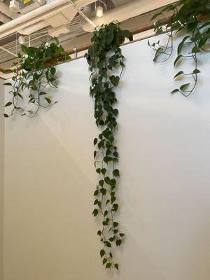 The Translation Company Group