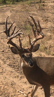 Merryville Outfitters