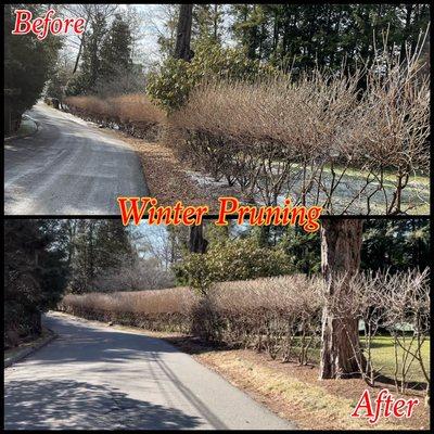 Ronal Lima Landscaping