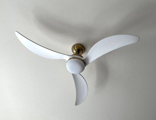 Ceiling fan ordered from Home Depot, and installed by Woo's electrical.