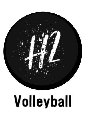 H2 Volleyball